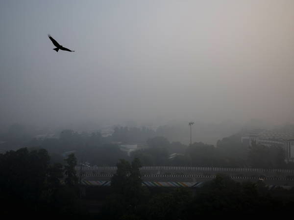 India's capital shuts all primary schools due to smog