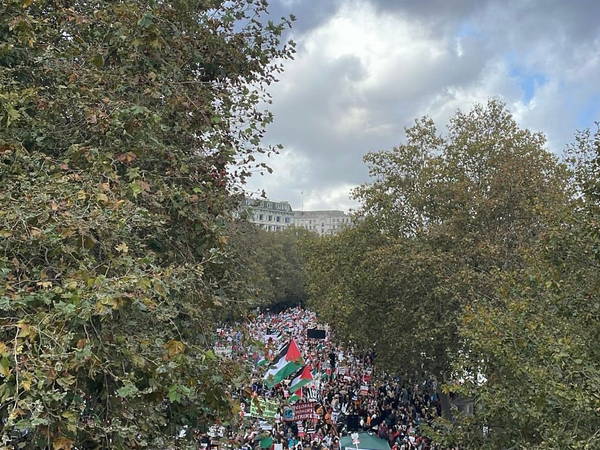 Climate crisis and conflict in Gaza are ‘interlinked’, protesters say