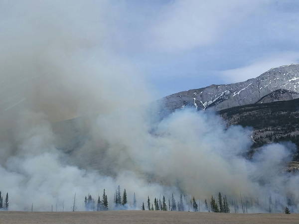 Forget driverless cars. One company wants autonomous helicopters to spray crops and fight fires