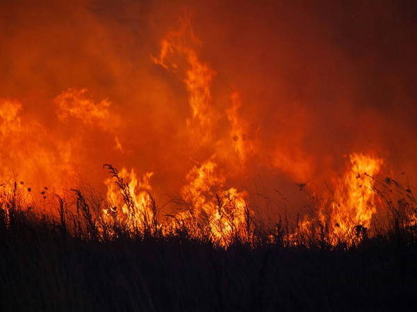 Ecuador declares national emergency as wildfires, drought intensify