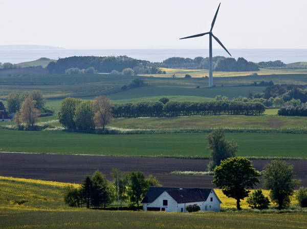 Denmark to convert 15% of farmland to forest to cut fertilizer use