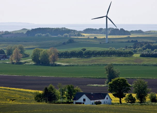 Denmark to convert 15% of farmland to forest to cut fertilizer use