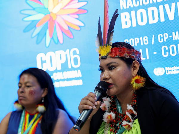 Delegates agree to establish Indigenous subsidiary body at COP16 biodiversity summit in Colombia