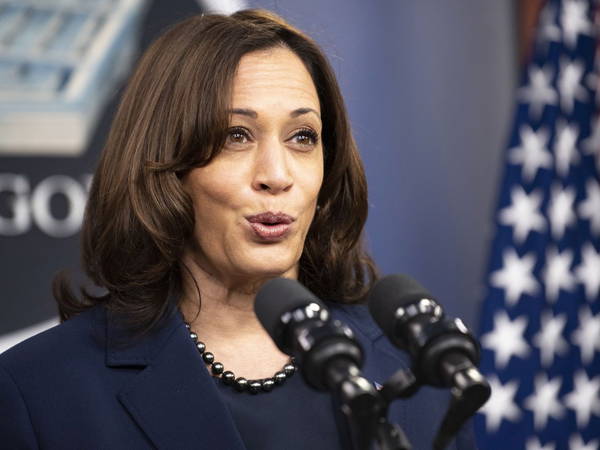 Harris is Democrats’ preferred choice for 2028: Poll