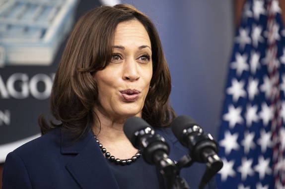 Harris is Democrats’ preferred choice for 2028: Poll