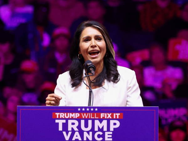 Tulsi Gabbard's Russia-Sympathetic Views Stir Concerns Over Intelligence Role