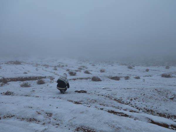 Saudi Arabia Desert Sees Rare Snowfall for First Time in History