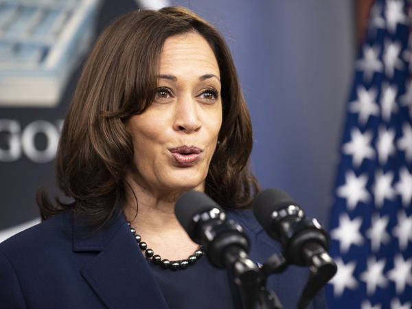 Former Harris aide calls for Biden to resign so she can be president briefly