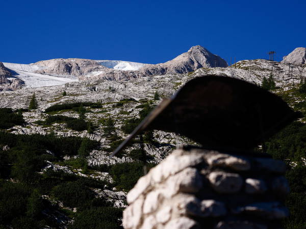 Hiker Stumbles Upon 280-Million-Year-Old Ecosystem Hidden in the Italian Alps