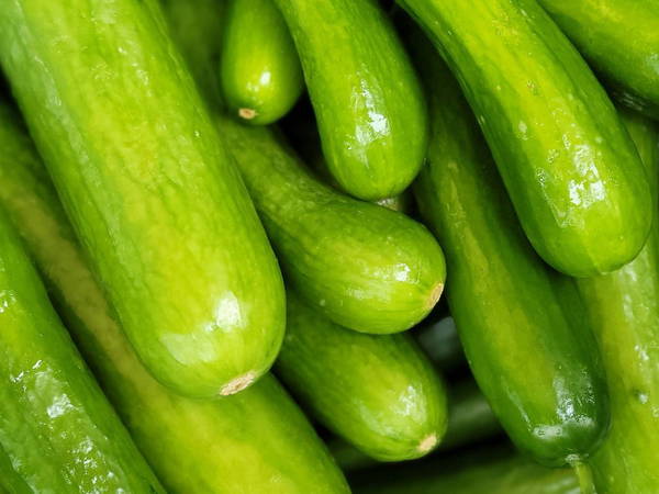 Cucumber Recall Sparks Salmonella Warning in 26 States and Parts of Canada