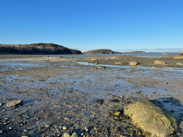 Newfoundland beach blobs are plastic pollution, but source remains unknown: scientist