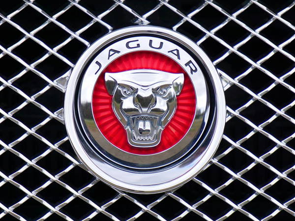 Jaguar's Controversial Rebrand Divides Public and Industry Experts