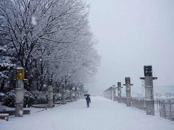 Worst November snowstorm in half century hits Seoul and grounds hundreds of airplane flights