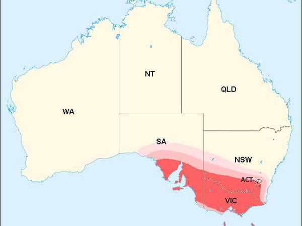 Heatwaves and Floods Trigger Extreme Weather Alerts Across Australia