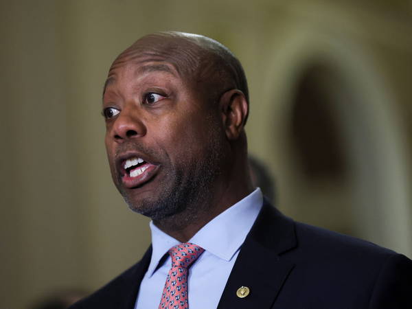 ‘Great meeting’: Tim Scott reveals Trump’s ‘all in’ to help GOP protect majority in 2026 midterms