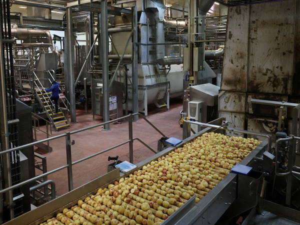 Alleged 'Potato Cartel' Sued for Conspiring to Fix Prices of Fries, Tater Tots Across US