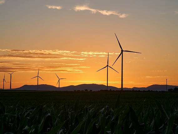 Man fatally crushed on wind farm construction site in Victoria