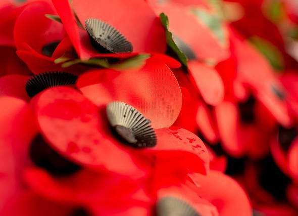 Ottawa principal apologizes for playing Arabic song during Remembrance Day ceremony