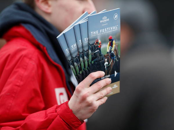 Three horses die on tragic Cheltenham raceday as racing fans pay tribute