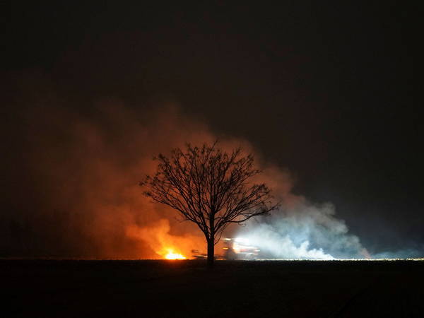 Farmers in Punjab Evade Satellite Detection During Stubble Burning, Worsening Air Pollution