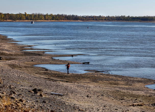 To save a dying swamp, Louisiana aims to restore the Mississippi River's natural flow