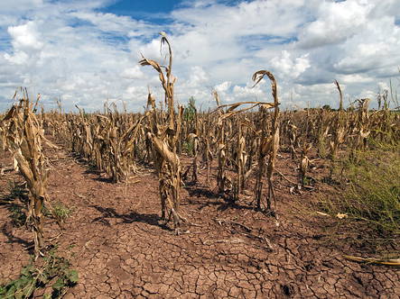 Global water cycle off balance for ‘first time in human history’: Report