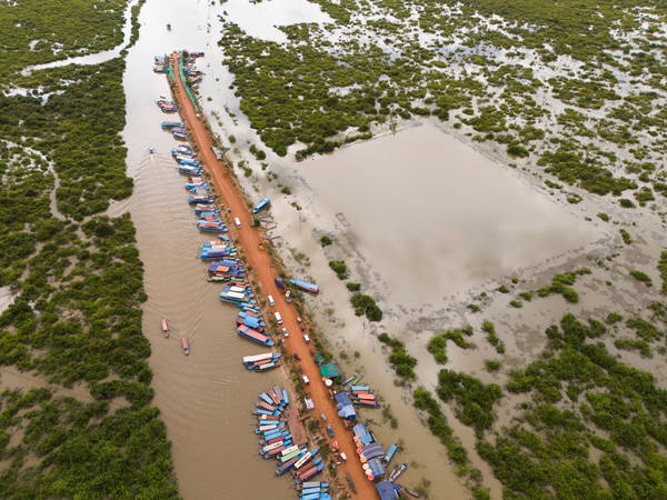 Cambodian fishermen turn to raising eels as Tonle Sap lake runs out of fish