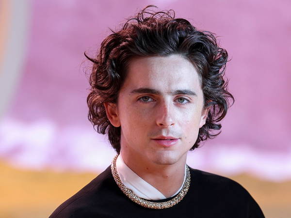 Timothée Chalamet crashes his own look-alike contest after police shut down crowded event