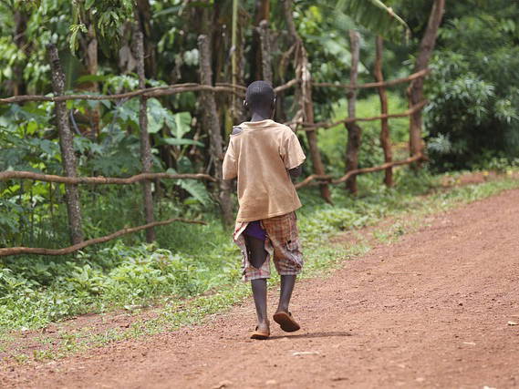 Southern Africa is enduring its worst hunger crisis in decades due to El Niño, the UN says