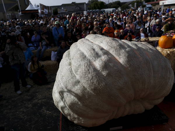 Pumpkin weighing 2,471 pounds wins California contest