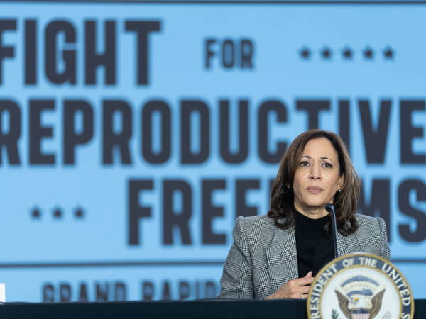 The Collapse of Kamala Harris